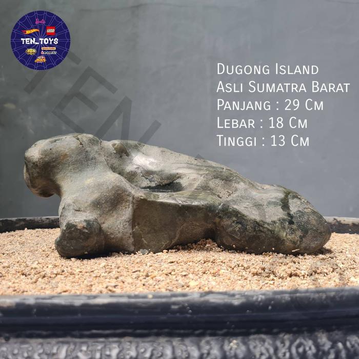 Batu Alam Suiseki Rock "Dugong Island" / "Pulau Dugong" Asli Sumatra Barat West Sumatra Cocok Untuk 