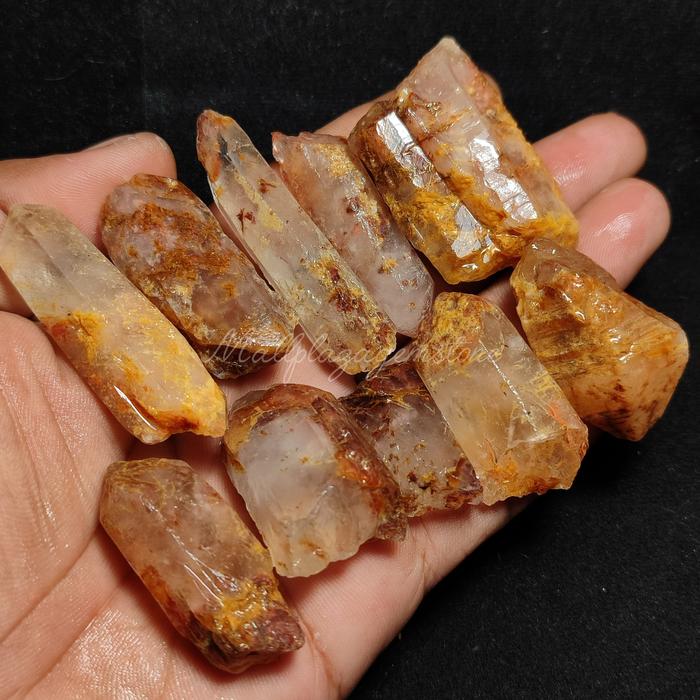 Batu kinyang karang asli alam / bongkahan kucubung karang natural / kucubung kinyang karang / phanto