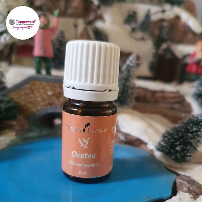 Ocotea Young Living   5ml