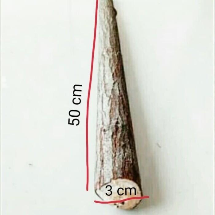 Kayu Bidara Arab Asli Batang Ukuran Besar Diameter 5 Cm Panjang 50 Cm Untuk Tongkat Terapi Ruqyah Da