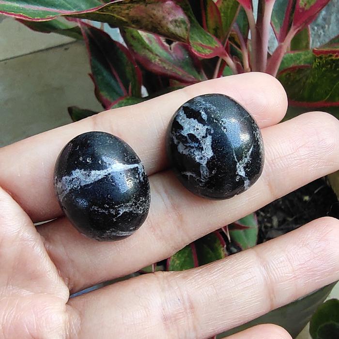Batu Akik Batu Fosil Kayu Ulin Asli Batu Antik Unik