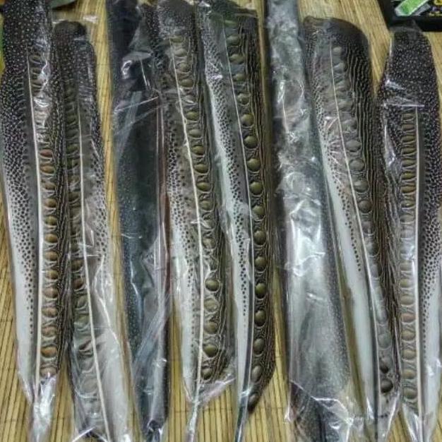 bulu burung ruai (panjang :70-80 cm)