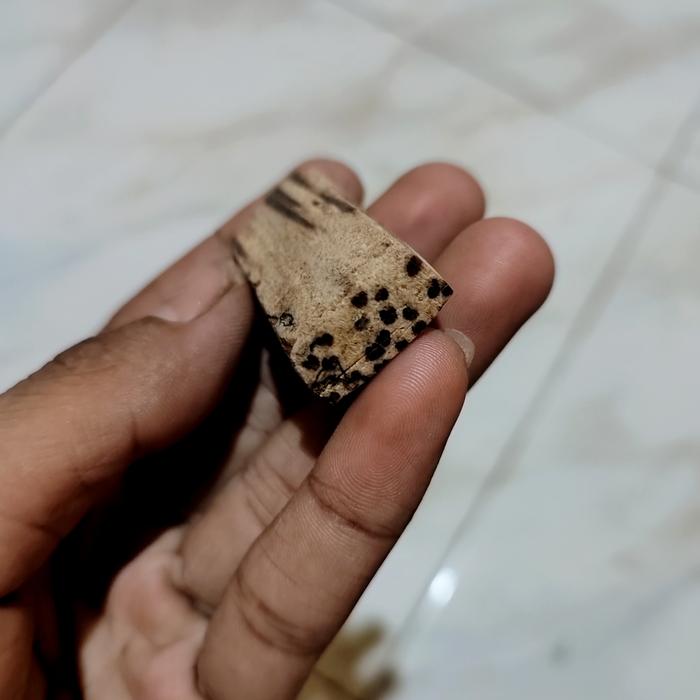 Kayu pucang kalak original barang sudah tua