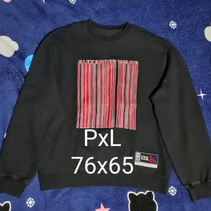 crewneck cn 4l3xander wang second