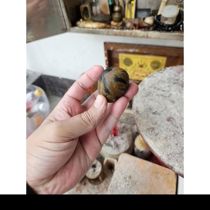 Batu alam fosil galih kelor bongkahan
