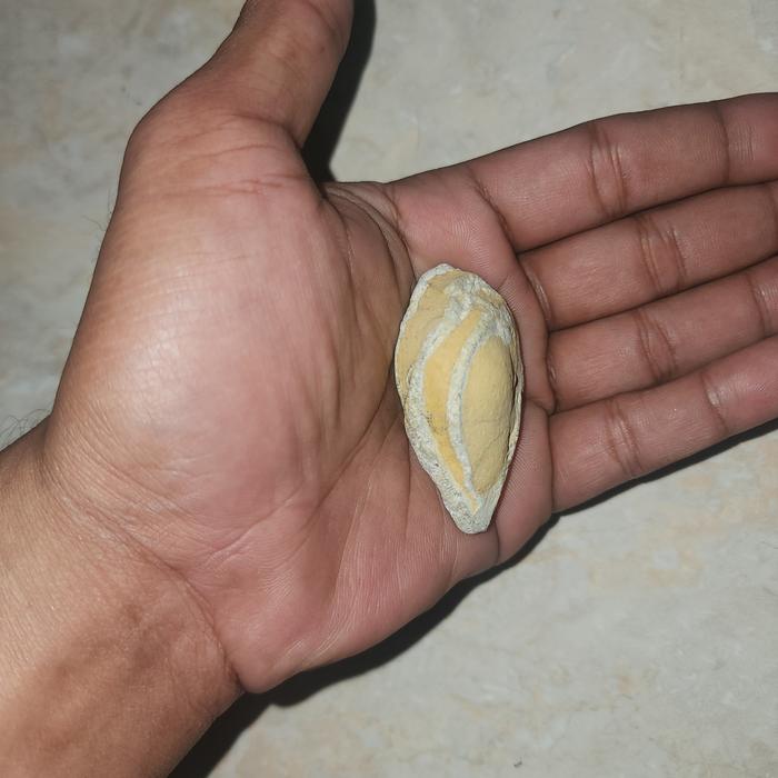 barang kuno banget aneh batu mustika rtuputrikuning