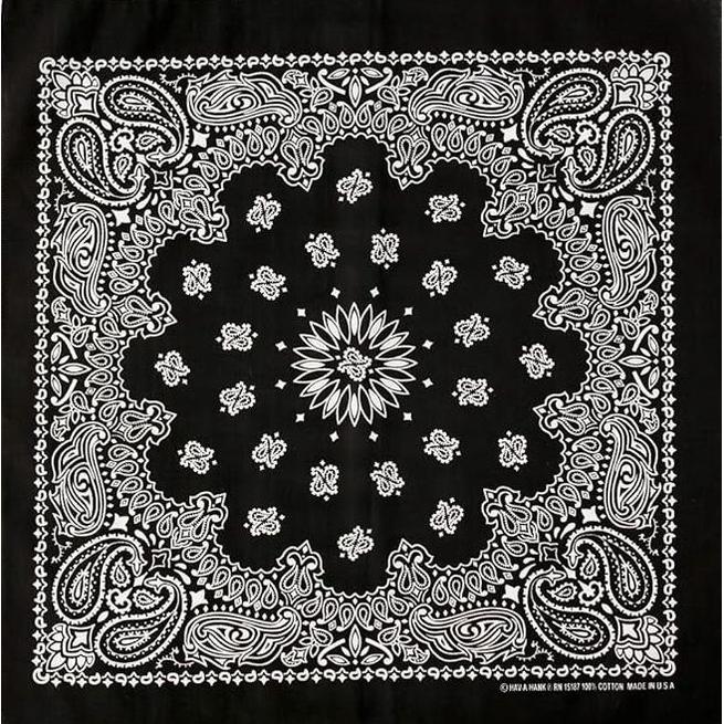 HAV-A-HANK Bandana Paisley Vintage (55 x 55 cm) Made in USA