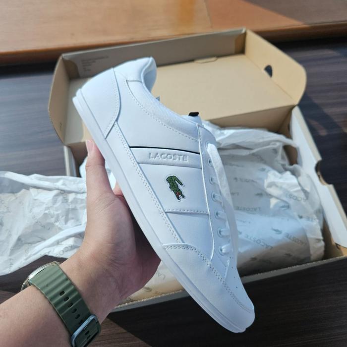 Lacoste Chaymon White Originally