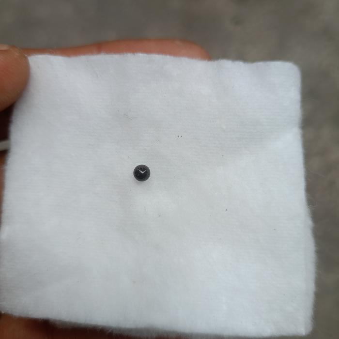 Mustika Biru Lipan - Temuan Langka Natural 1000% Alam