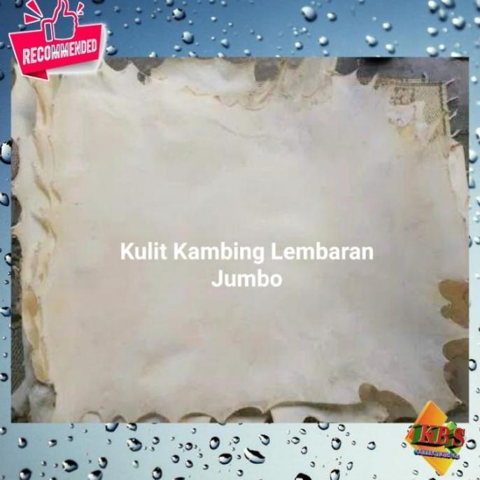 Kulit kambing ternak Lembaran