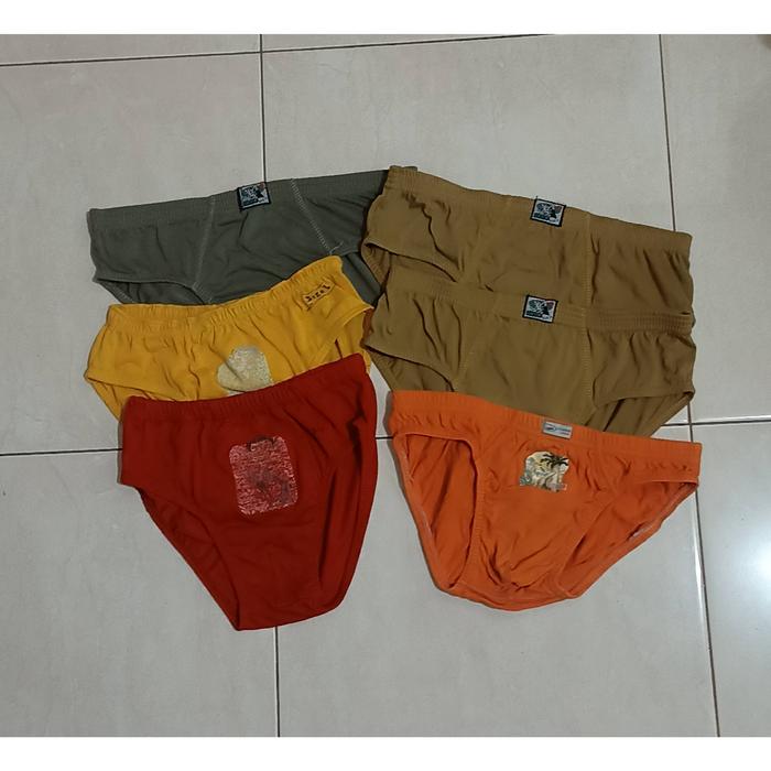 PL - TAKE ALL 6PCS - Celana dalam anak laki-laki 6-7 tahun dalaman