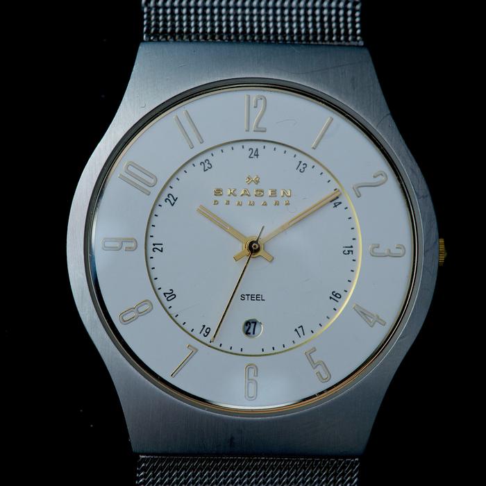 Jam Skagen Denmark Stainless Quartz Watch