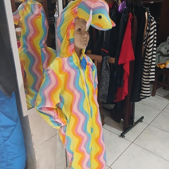 rainbow fish costume (kostum ikan rainbow)