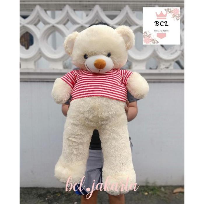 PLAYFUL PALACE BONEKA TEDDY BEAR T-SHIRT BESAR/ BERUANG BAJU BESAR