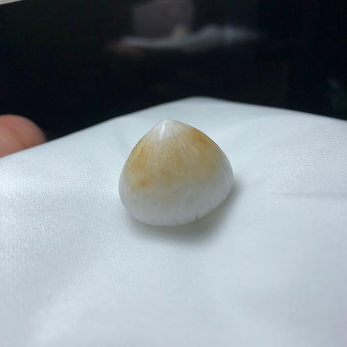 Batu Kelapa Asli dari dalam buah kelapa