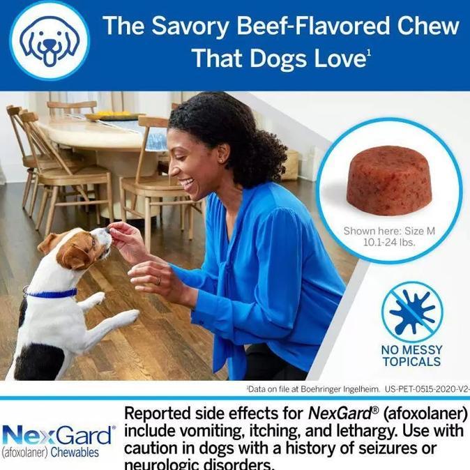 Berkualitas! Obat Kutu Anjing Demodex Scabies NexGard Dog !!