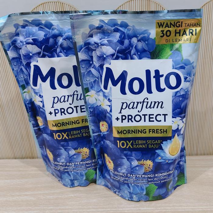 MOLTO PARFUM + PROTECT MORNING FRESH 550ML