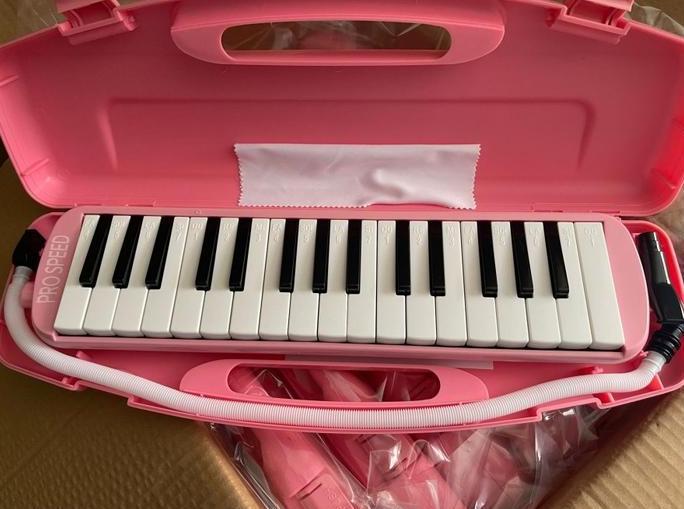 PIANIKA SPEEDS PRO SPEED BOX KOPER PLASTIK ORIGINAL 100%