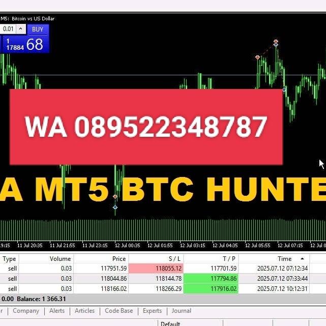 EA MT5 BTC HUNTER TERUPDATE TERBAIK