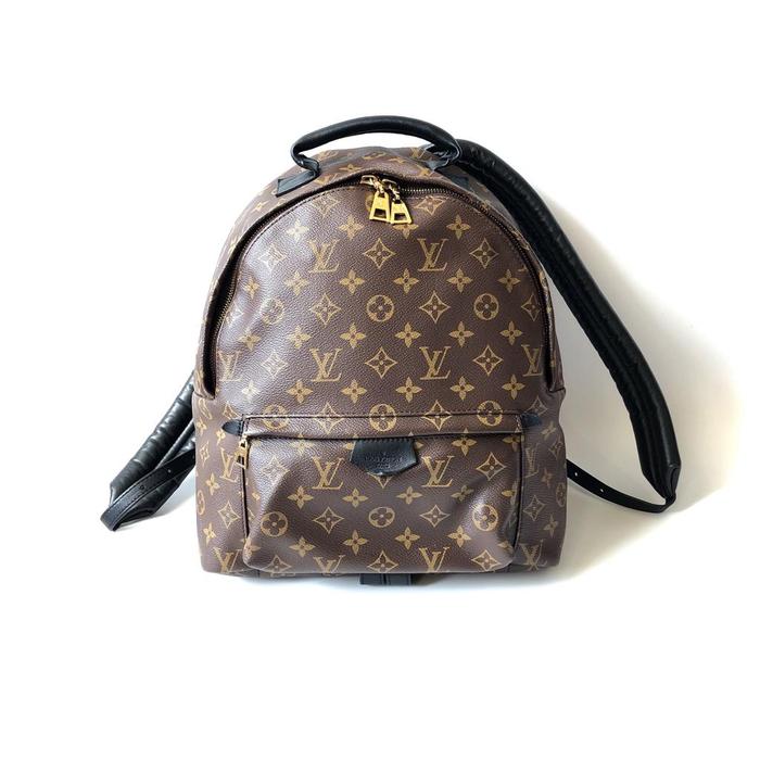 Dp Preloved lv backpack mono2