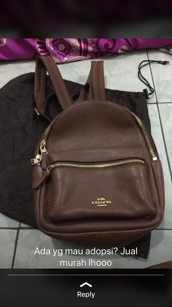 Backpack coach