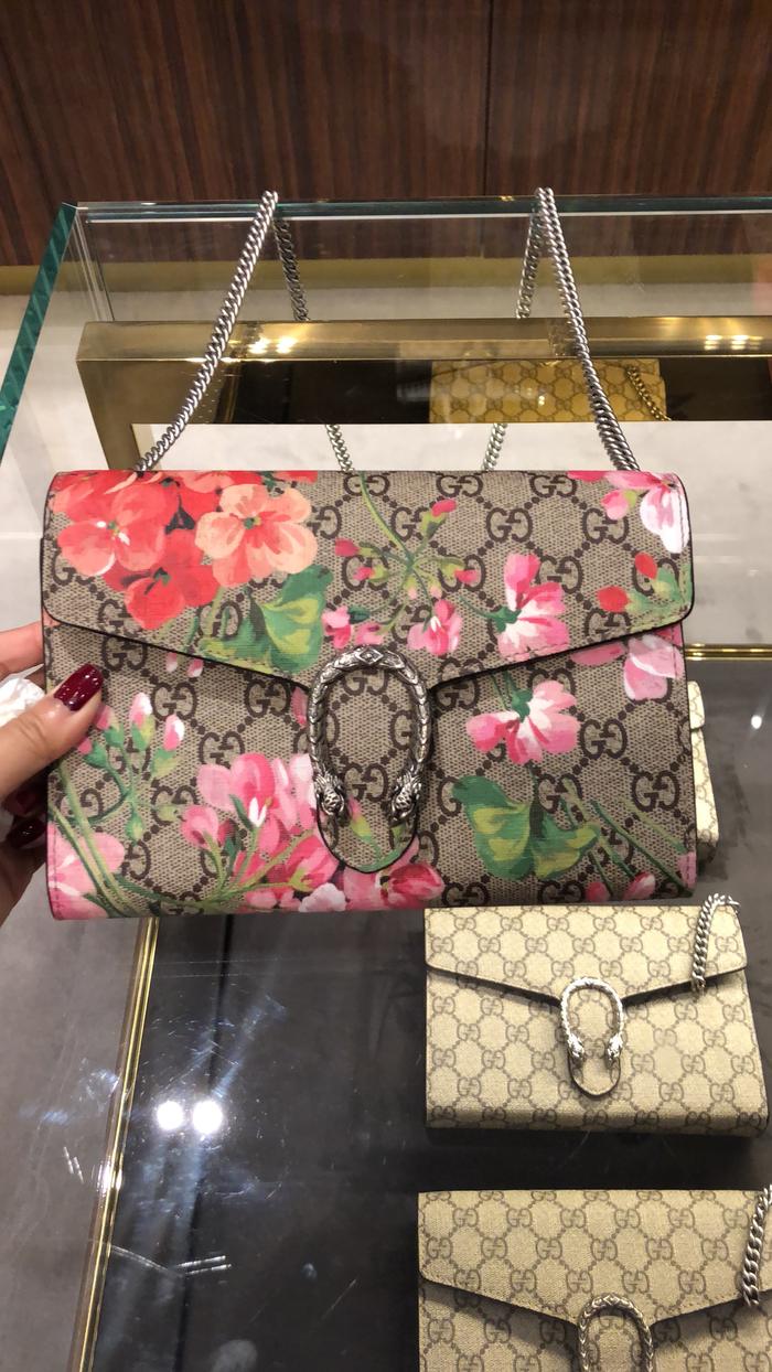 Dp gucci woc