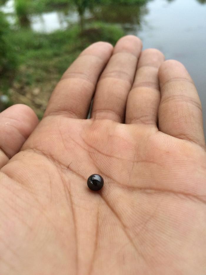 Mustika Lipan Geliga Hitam