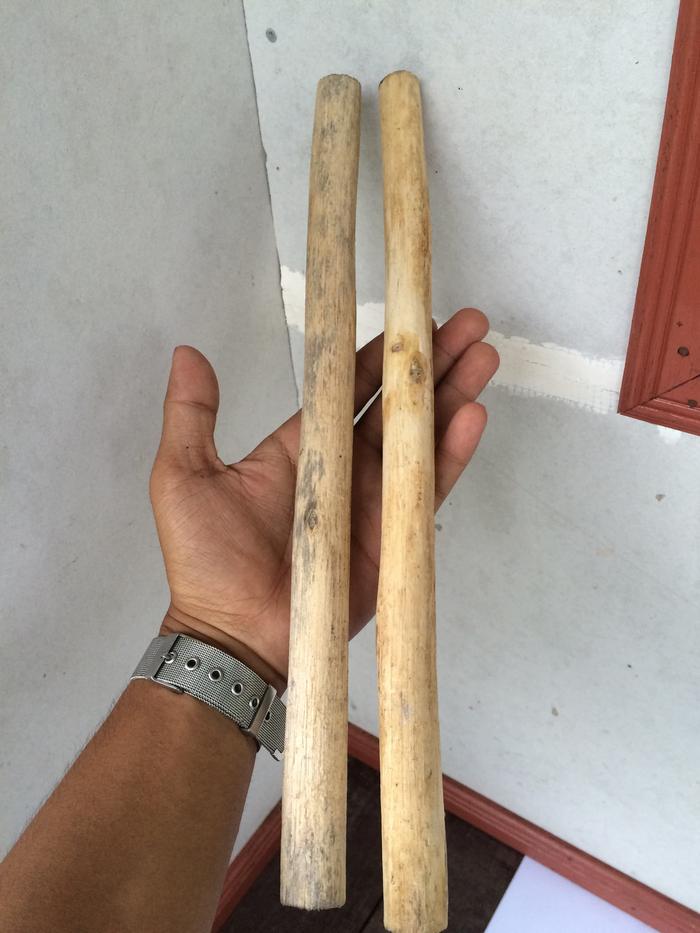 Kayu Tlogosari Atau Tunjuk Langit Asli Kalimantan