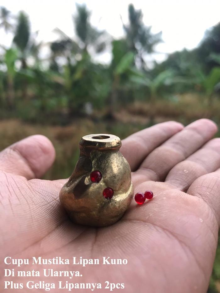 Cupu Ular Mustika Lipan Asli Sepasang