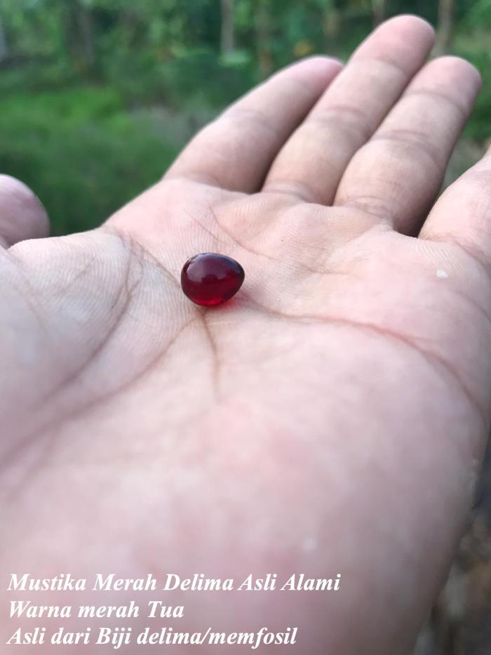 Merah delima Asli terbaik