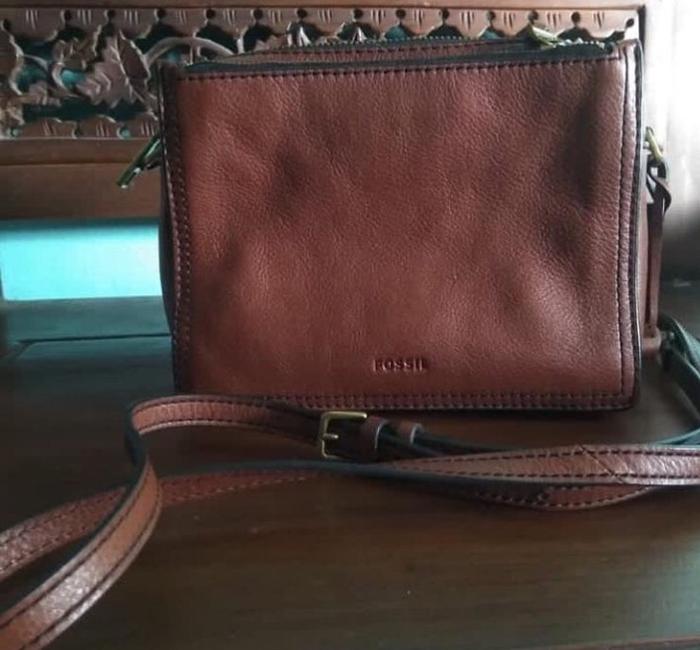 Tas Fossil Campbell brown