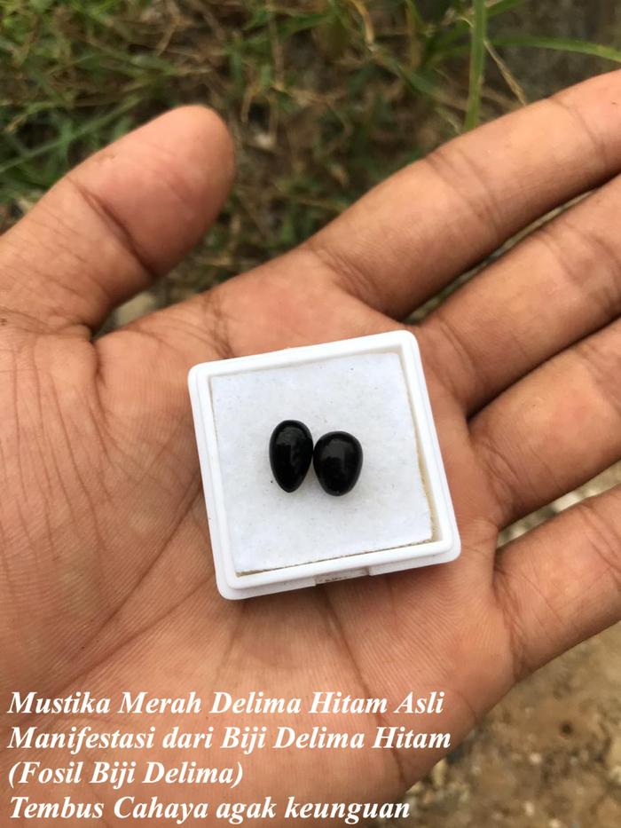 Mustika Delima Hitam Asli