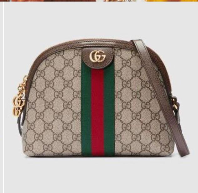 Gucci ophidia dome