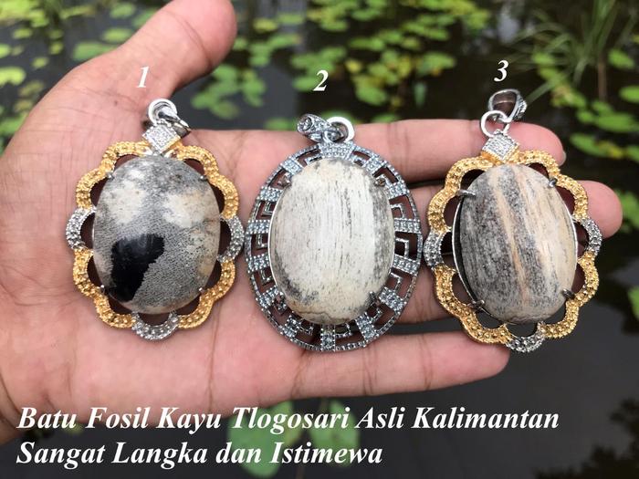Batu Fosil Kayu Telogosari Langka dan Asli Istimewa