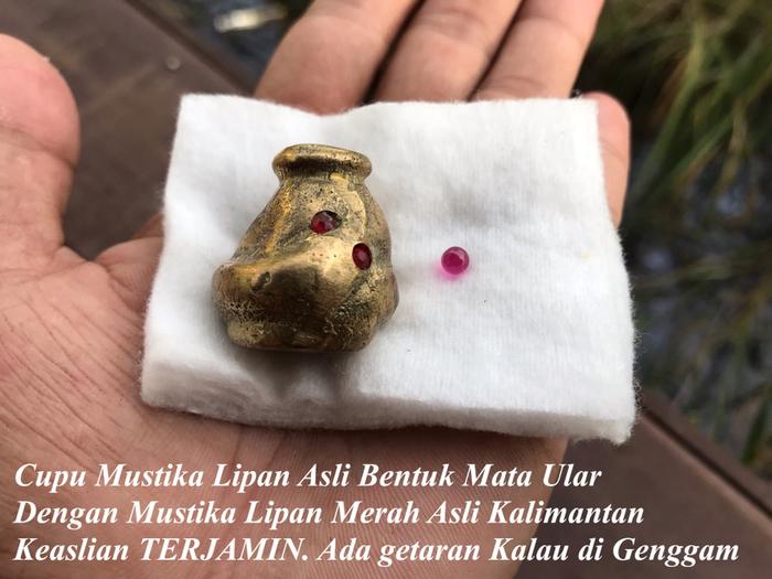 Cupu Mustika Lipan Bermata Merah dan Mustika Lipan Merah Asli
