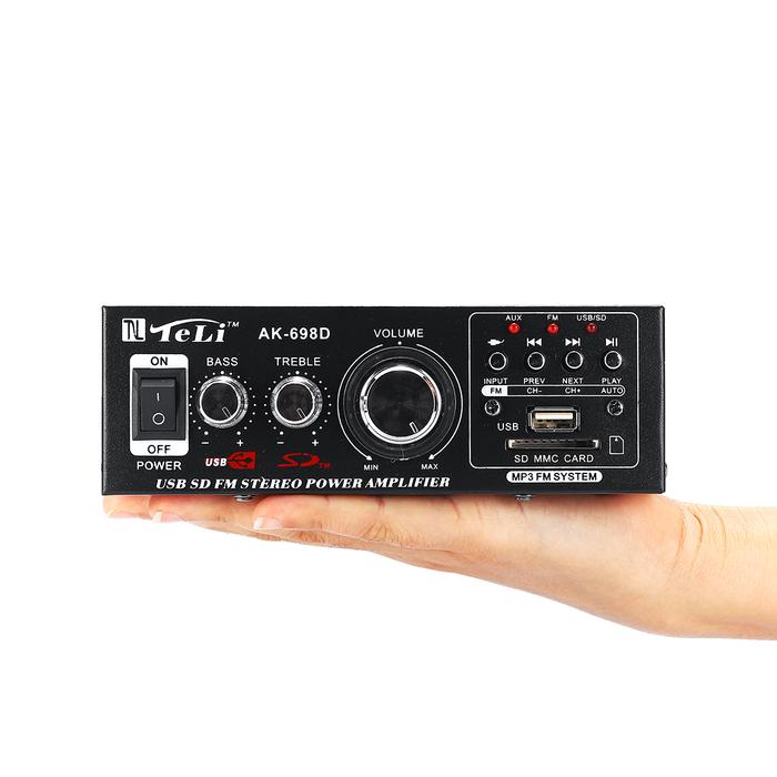 DC 12V AC 220V Mobil Radio Amplifier Mobil Amplifier Wth
