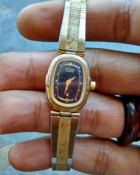 TB Citizen Watch gn4s