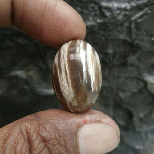 batu fosil kayu liwung motif loreng macan bkn combong tapak jalak