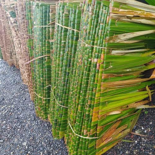 Atap Dahon Gazebo Natural - Atap Dahon Rumbia 5 Pcs
