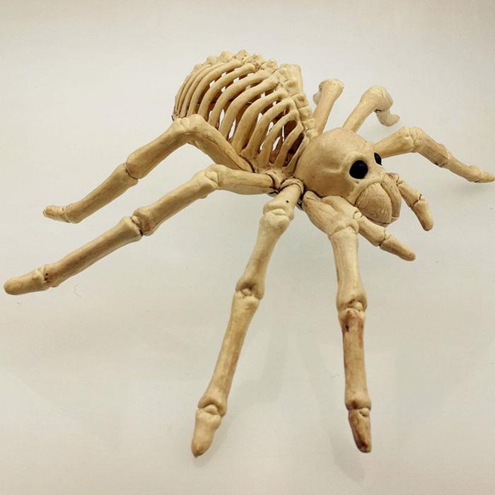 Spider Skeleton Model Horrified Lifelike Skeleton Model DIY
