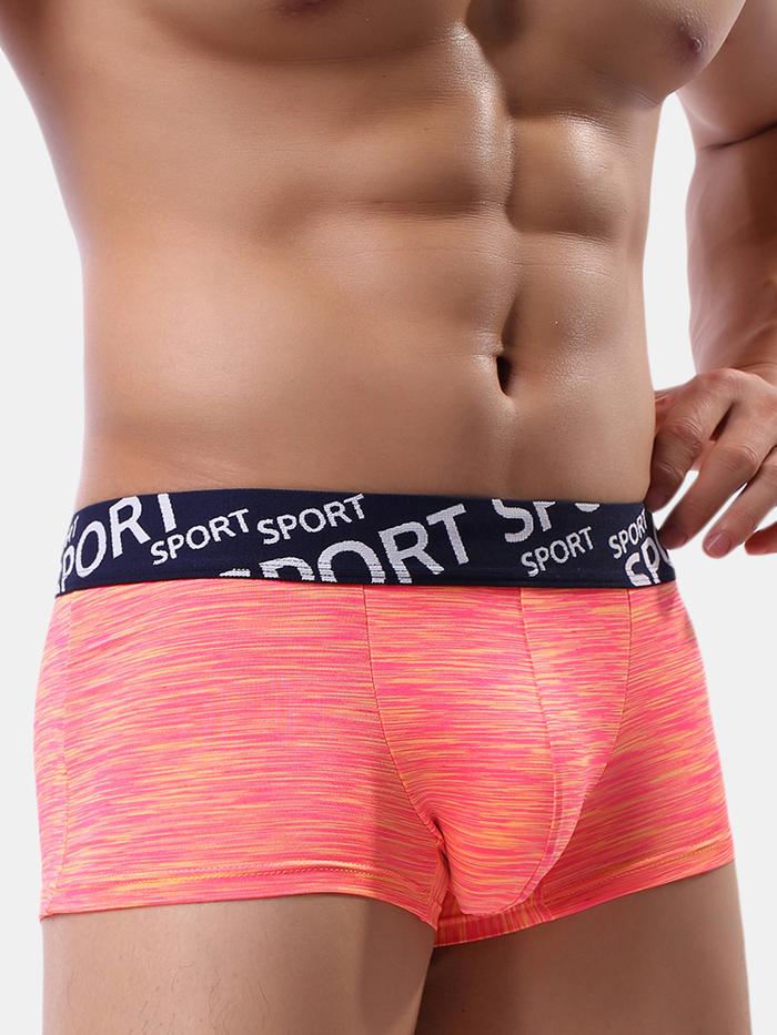 ANG Colorful Cotton Underwear Breathable U Convex Pouch Widen