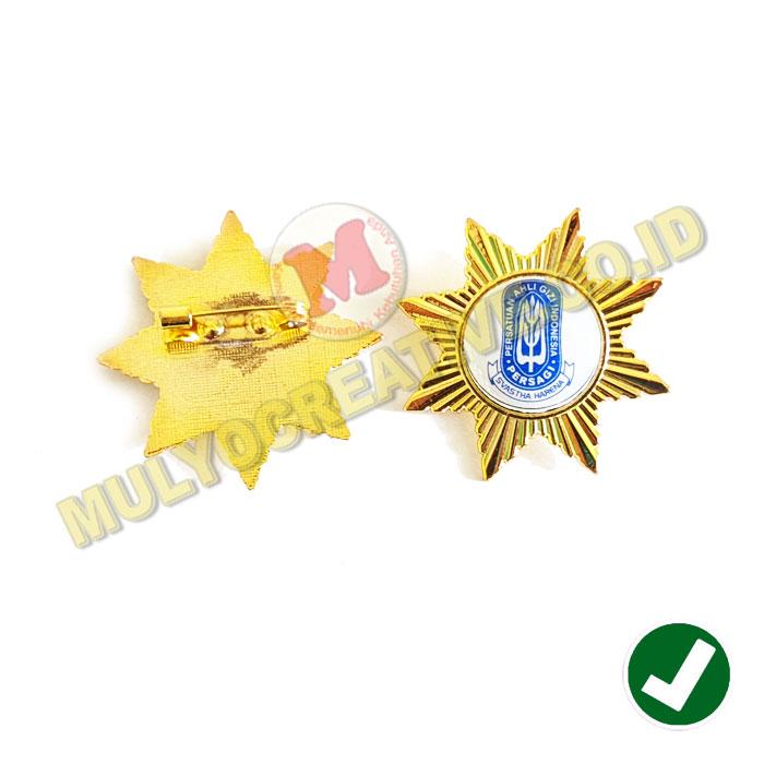 Pin Logo Persatuan Ahli Gizi Indonesia Persagi Model Bintang