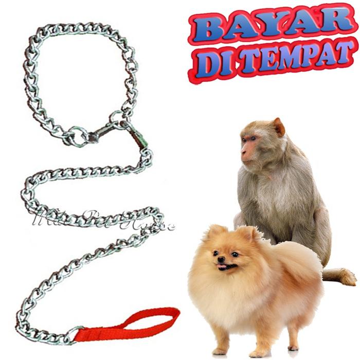 SG RANTAI HEWAN ANJING MONYET MUSANG