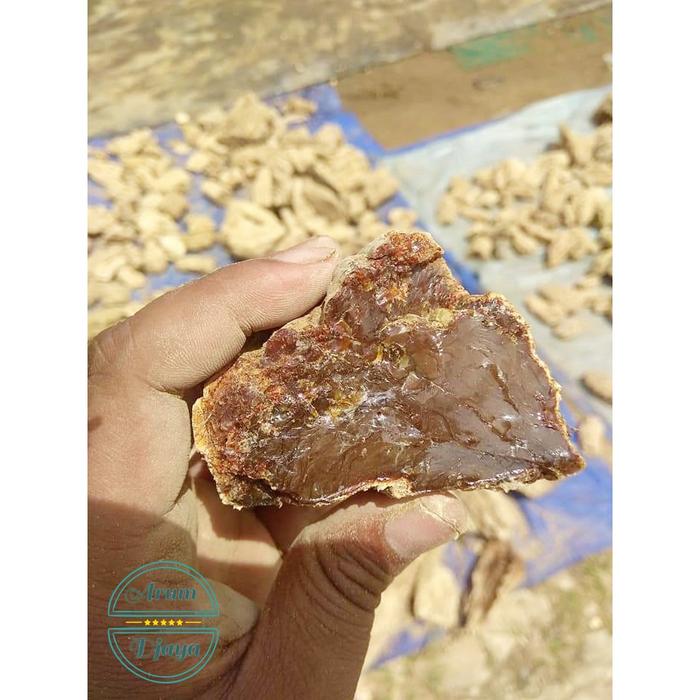 Batu Damar Getah Damar Meranti Selo Batu Resin Natural Gum 1kg