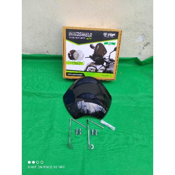 TGP Windshield Mini Scoopy Genio Fino