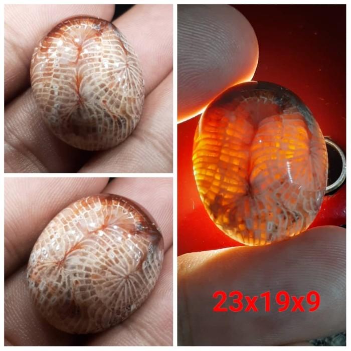 Natural Akik Batu Motif Gambar Teratai Jaring Lipan Merah Antik 1