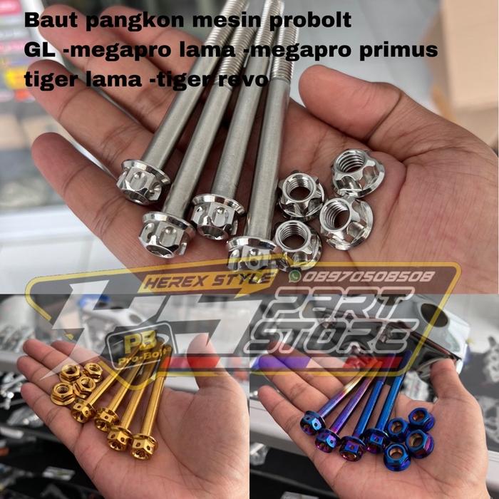 Baru baut probolt pangkon mesin GL megapro tiger
