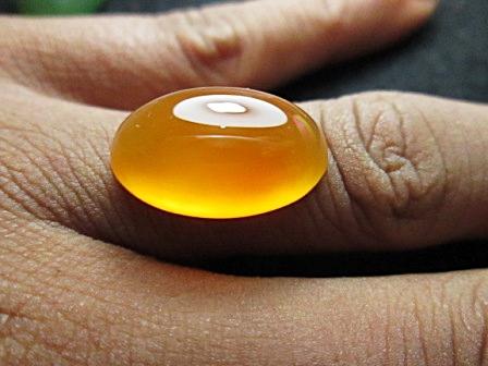 Obi Kuning [Bacan Obi Kuning],... Size Kantoran .