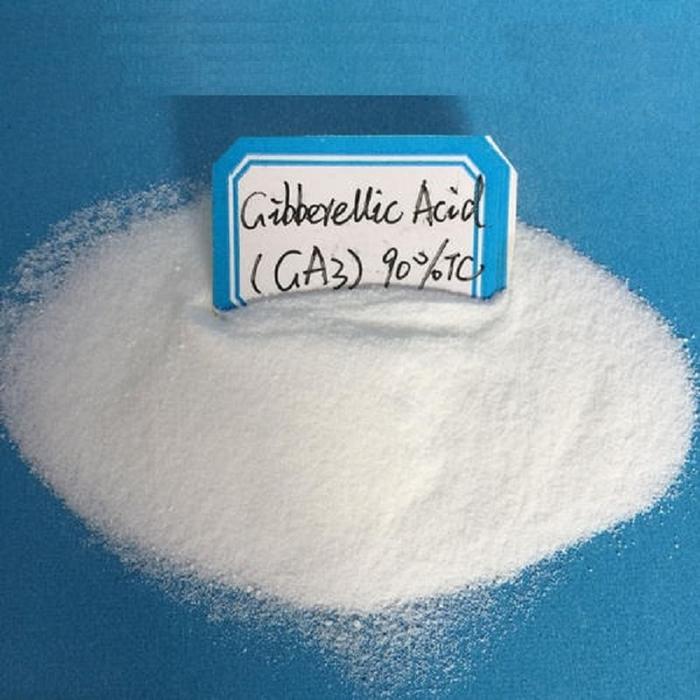 15G Gibberellic Acid Ga3 90% FastImp