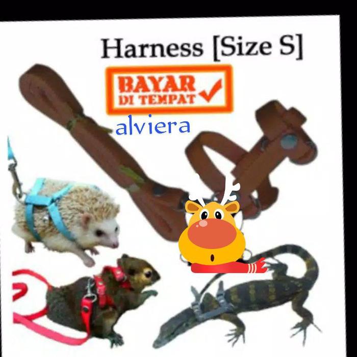 Tali Tuntun Harness H Kecil Untuk Tupai Landak Mini Hamster Suger Glid